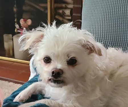 Tillie Lake Veterinary Clinic