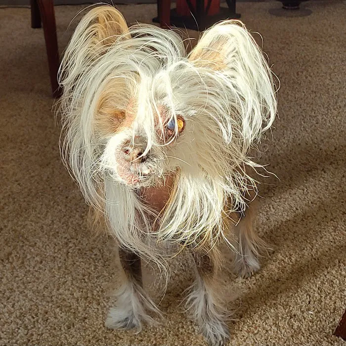 Tillie Lake Veterinary Clinic Picture 8