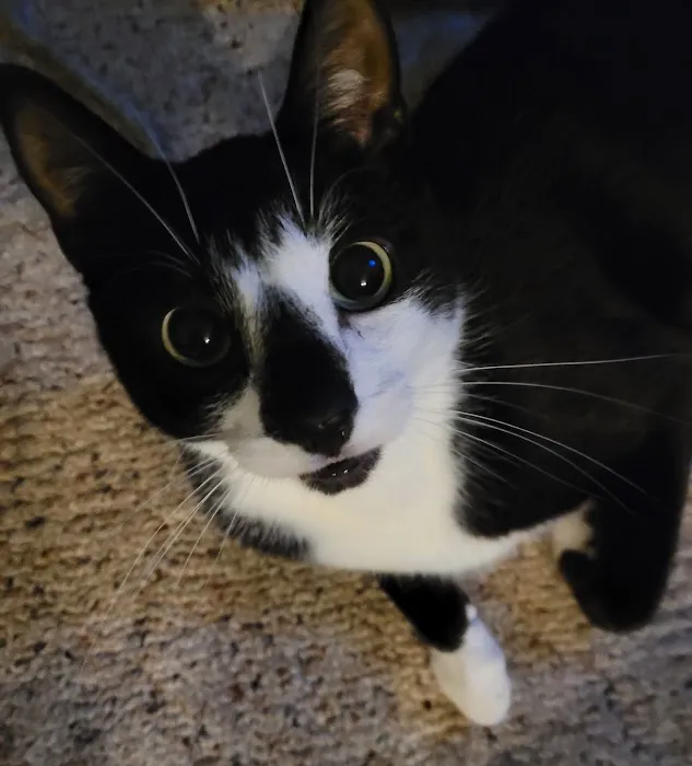 Tillie Lake Veterinary Clinic Picture 3