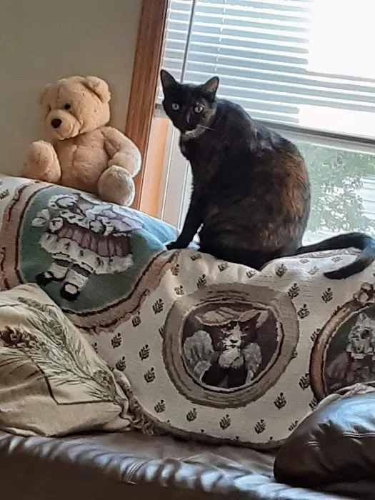 Tillie Lake Veterinary Clinic Picture 5