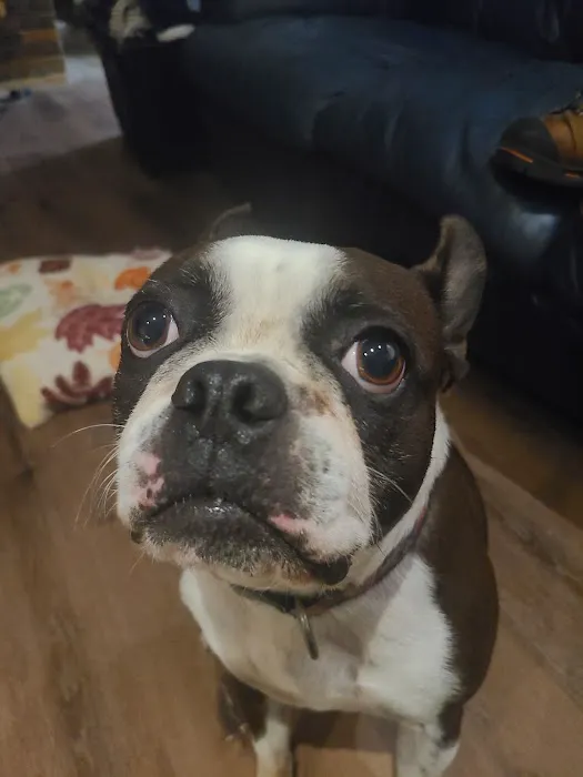 Tillie Lake Veterinary Clinic Picture 4