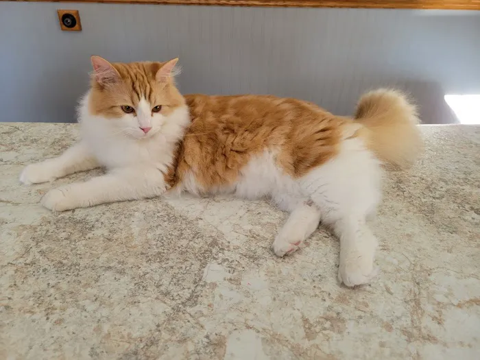 Tillie Lake Veterinary Clinic Picture 6