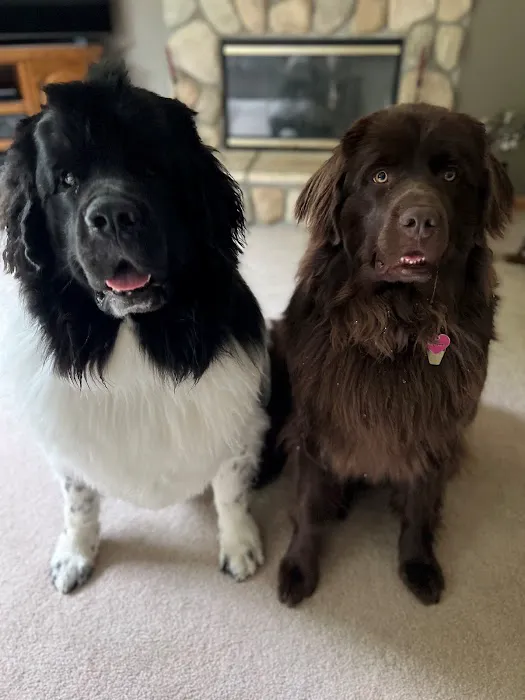 Tillie Lake Veterinary Clinic Picture 9