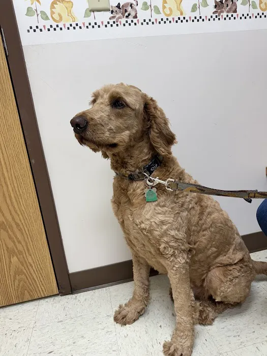 North Lake Veterinary Clinic Picture 2