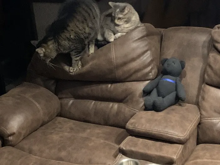 North Lake Veterinary Clinic Picture 3