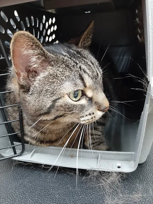 North Lake Veterinary Clinic Picture 5