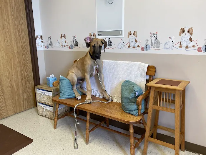 North Lake Veterinary Clinic Picture 6