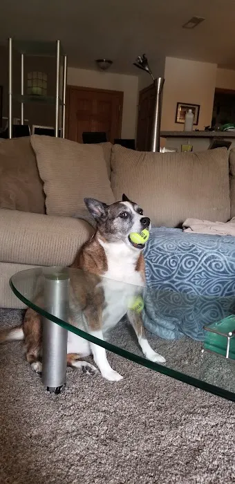 North Lake Veterinary Clinic Picture 8