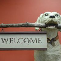 Richfield Area Pet Clinic ico