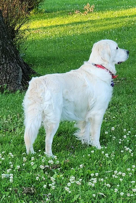 Richfield Area Pet Clinic Picture 7