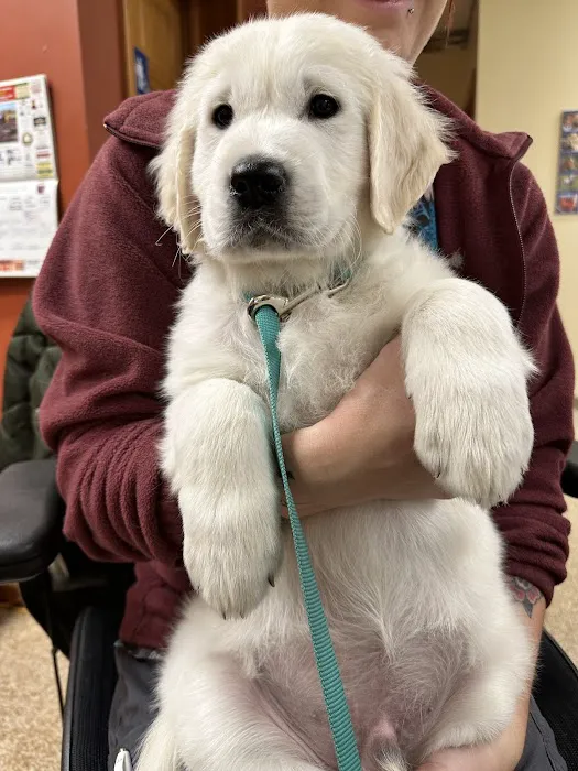 Richfield Area Pet Clinic Picture 10