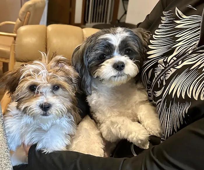 Jackson Pet Hospital Picture 1