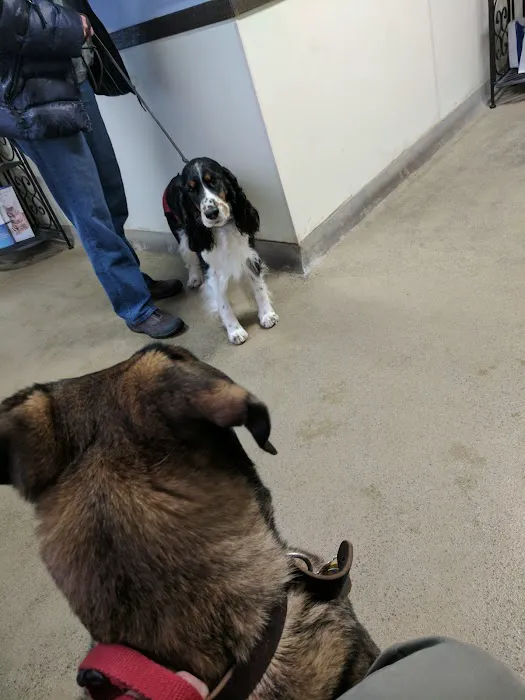 Jackson Pet Hospital Picture 2