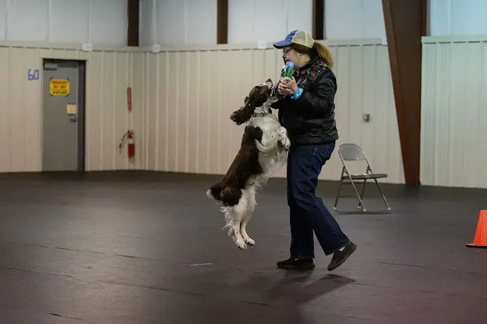 Jackson Pet Hospital Picture 4