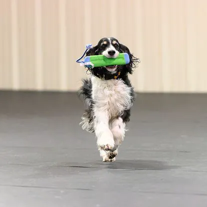 Jackson Pet Hospital Picture 3