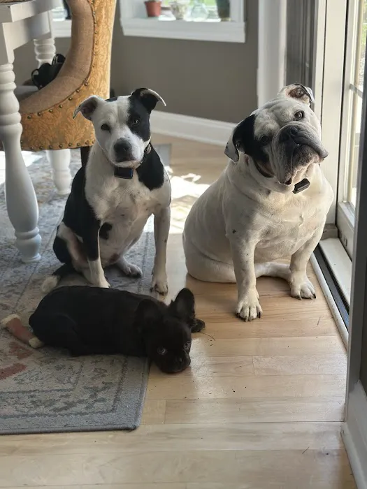 Jackson Pet Hospital Picture 9