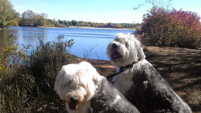 Jackson Pet Hospital Picture 8