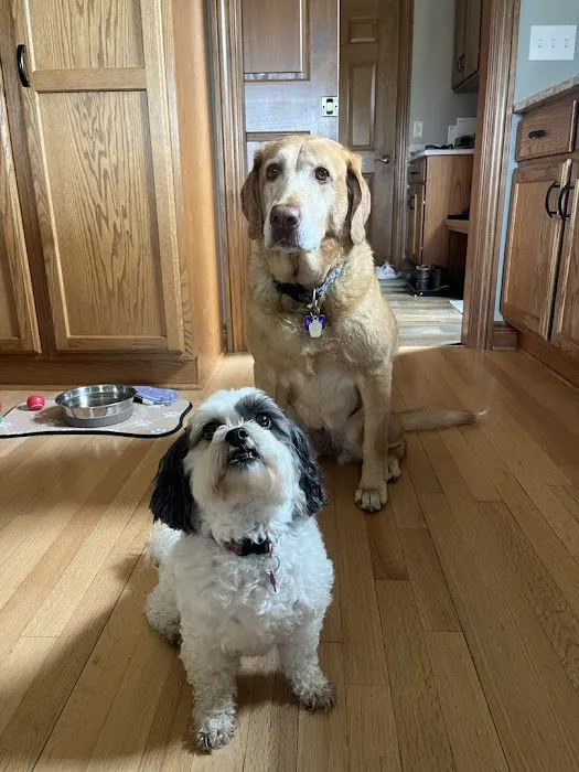 Jackson Pet Hospital Picture 6