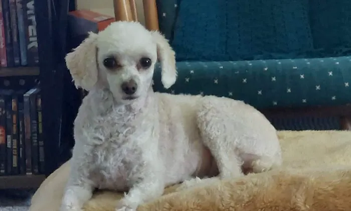 Jackson Pet Hospital Picture 10