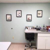 Village Veterinary Care of Merton ico