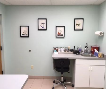 Village Veterinary Care of Merton