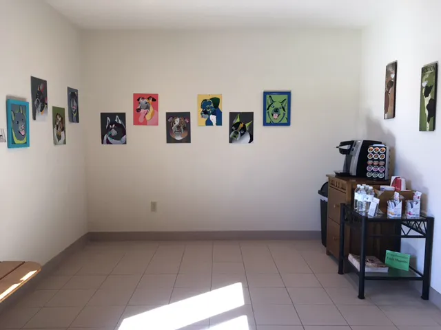 Village Veterinary Care of Merton Picture 3