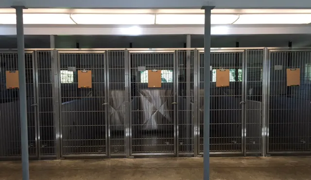 Village Veterinary Care of Merton Picture 9