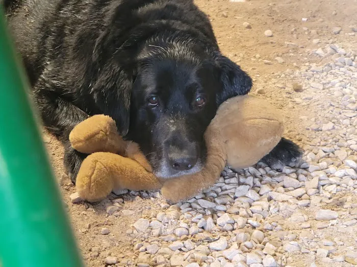 Pleasant Valley Vet Hospital SC Picture 2