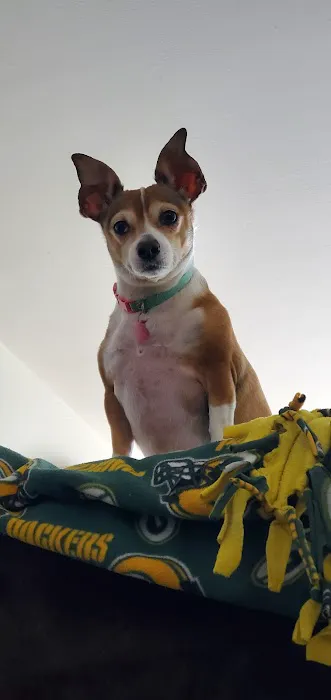 Pleasant Valley Vet Hospital SC Picture 1