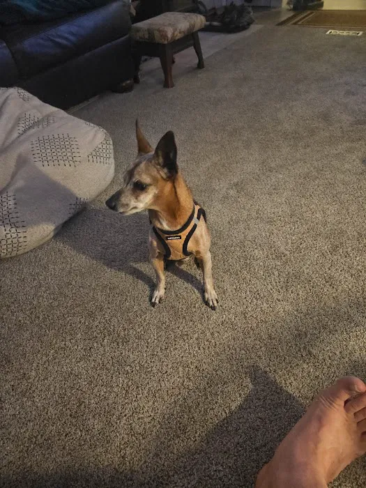 Pleasant Valley Vet Hospital SC Picture 3