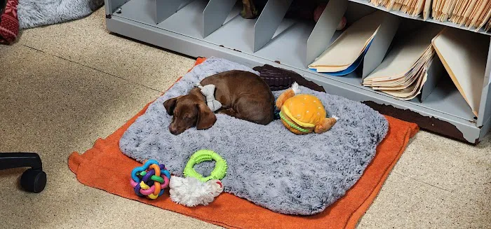 Pleasant Valley Vet Hospital SC Picture 5