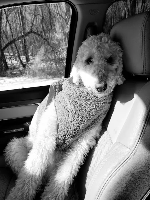 Pleasant Valley Vet Hospital SC Picture 6