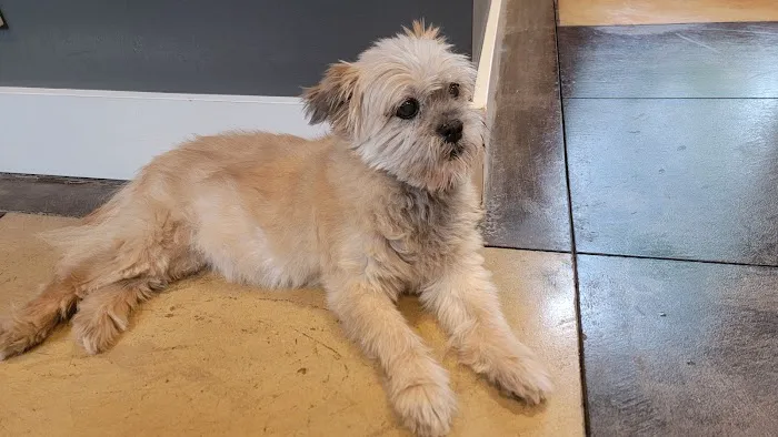 Healthy Pet Veterinary Clinic Picture 4