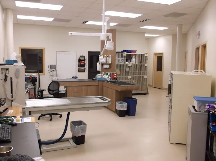 Healthy Pet Veterinary Clinic Picture 8