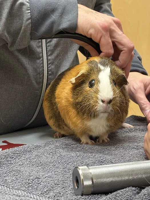 Healthy Pet Veterinary Clinic Picture 7