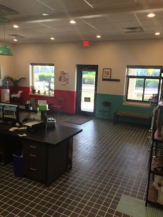 Isthmus Veterinary Care Picture 2