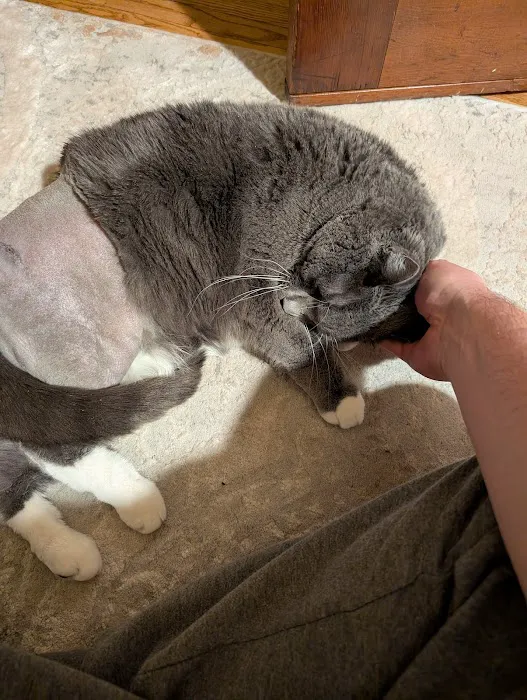 Isthmus Veterinary Care Picture 7