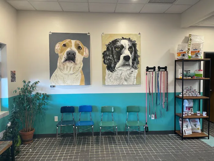 Isthmus Veterinary Care Picture 5