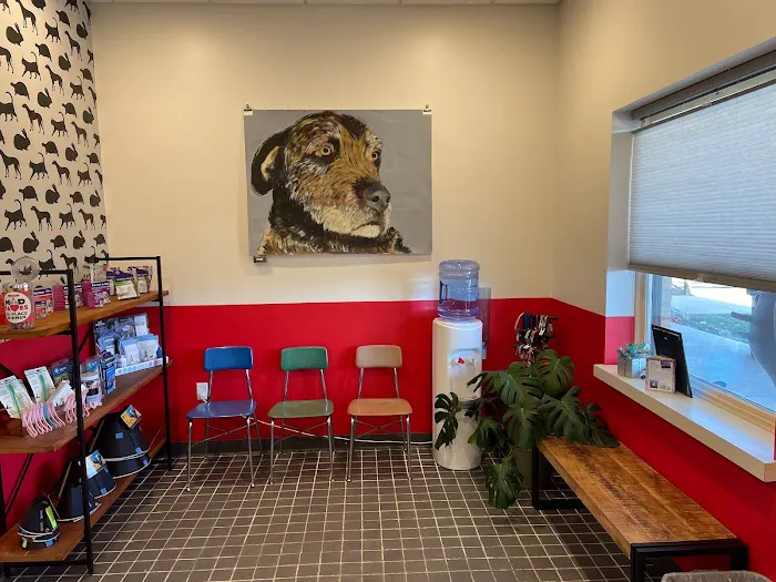 Isthmus Veterinary Care Picture 9