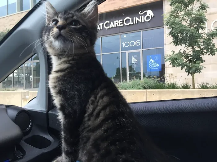 Cat Care Clinic - East Picture 2