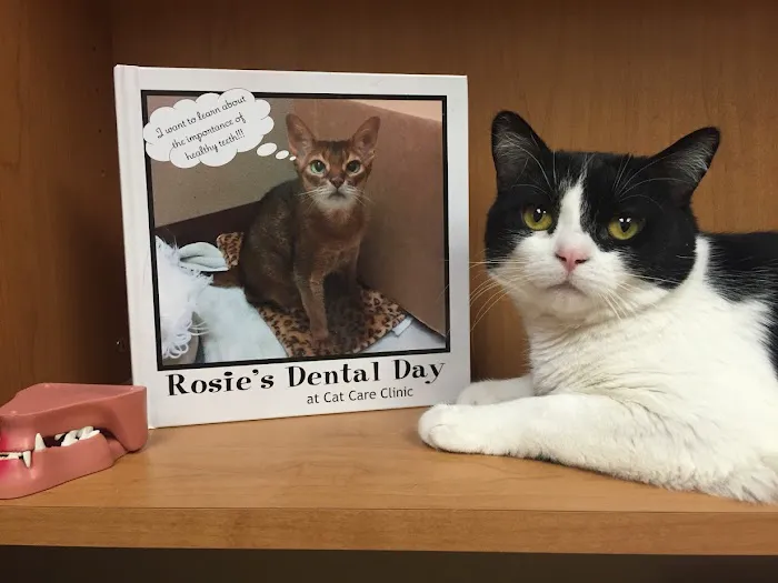 Cat Care Clinic - East Picture 5