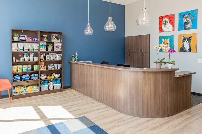 Cat Care Clinic - East Picture 6