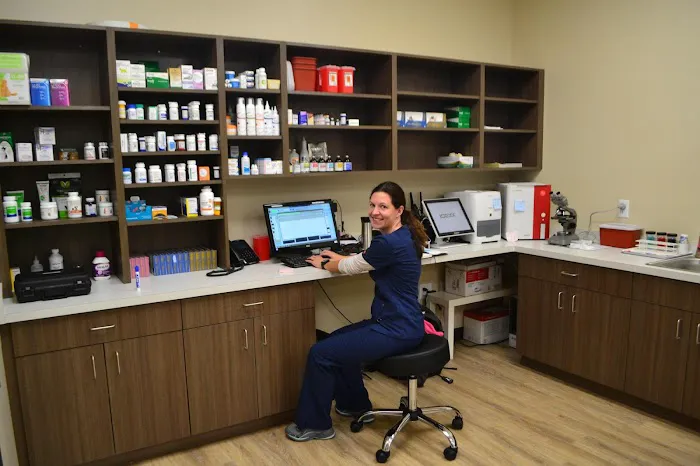 Cat Care Clinic - East Picture 3