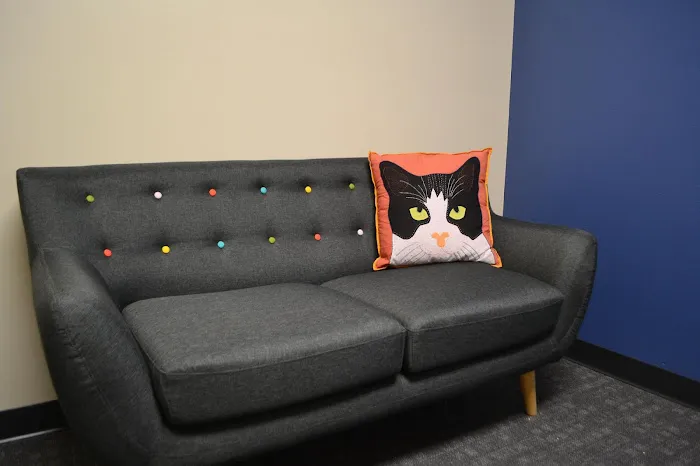 Cat Care Clinic - East Picture 10