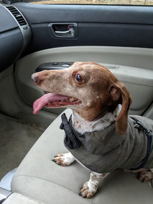 Spring Harbor Animal Hospital Picture 8