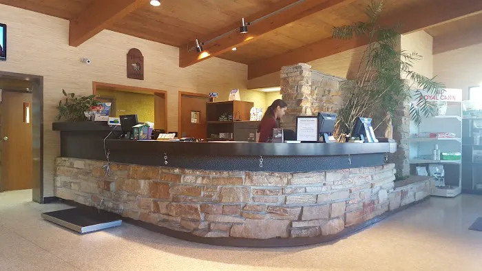 Spring Harbor Animal Hospital Picture 7