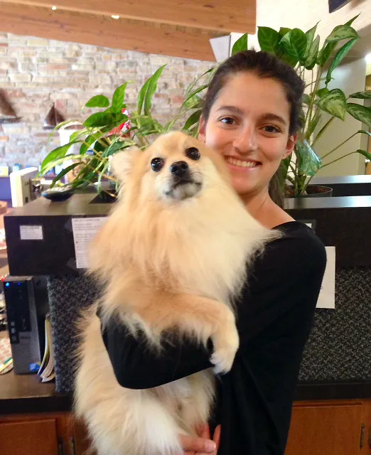 Spring Harbor Animal Hospital Picture 5