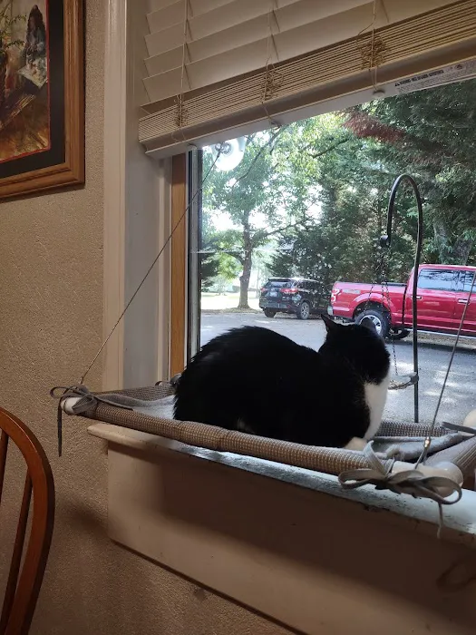 Barnesville Animal Clinic Picture 5