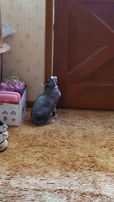 Barnesville Animal Clinic Picture 4