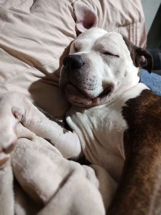 Barnesville Animal Clinic Picture 1